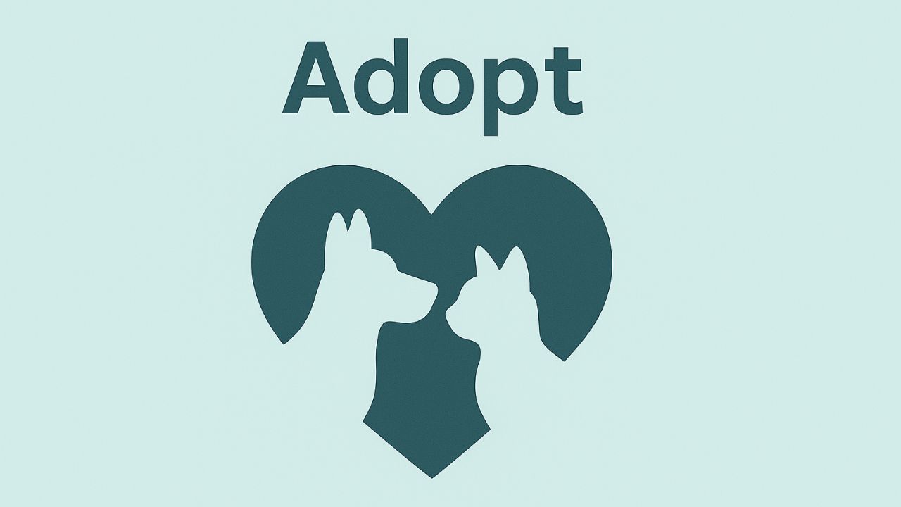 Adopt