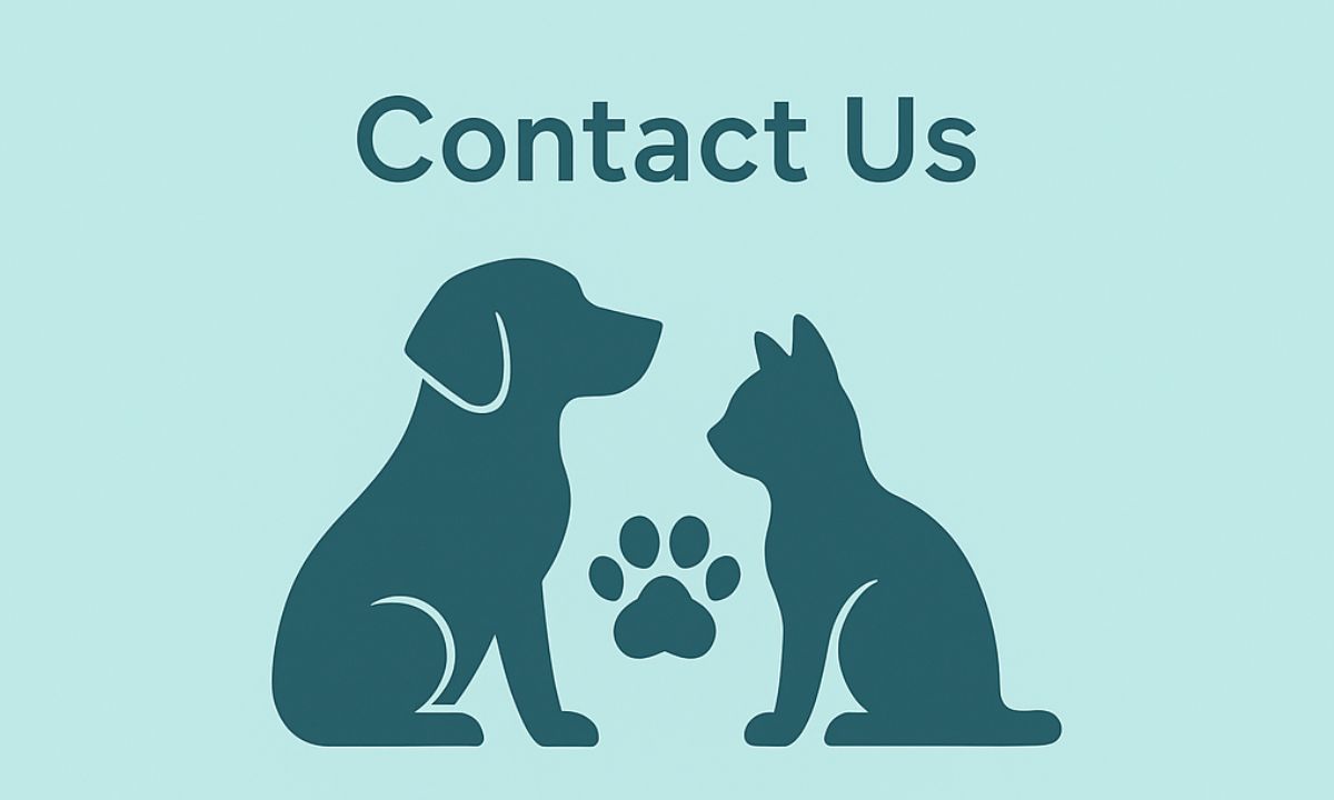 Contact