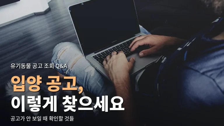 유기동물 입양 공고가 안 보일 때 - 주소모음으로 공식 조회 사이트 찾고 막힘 해결하기