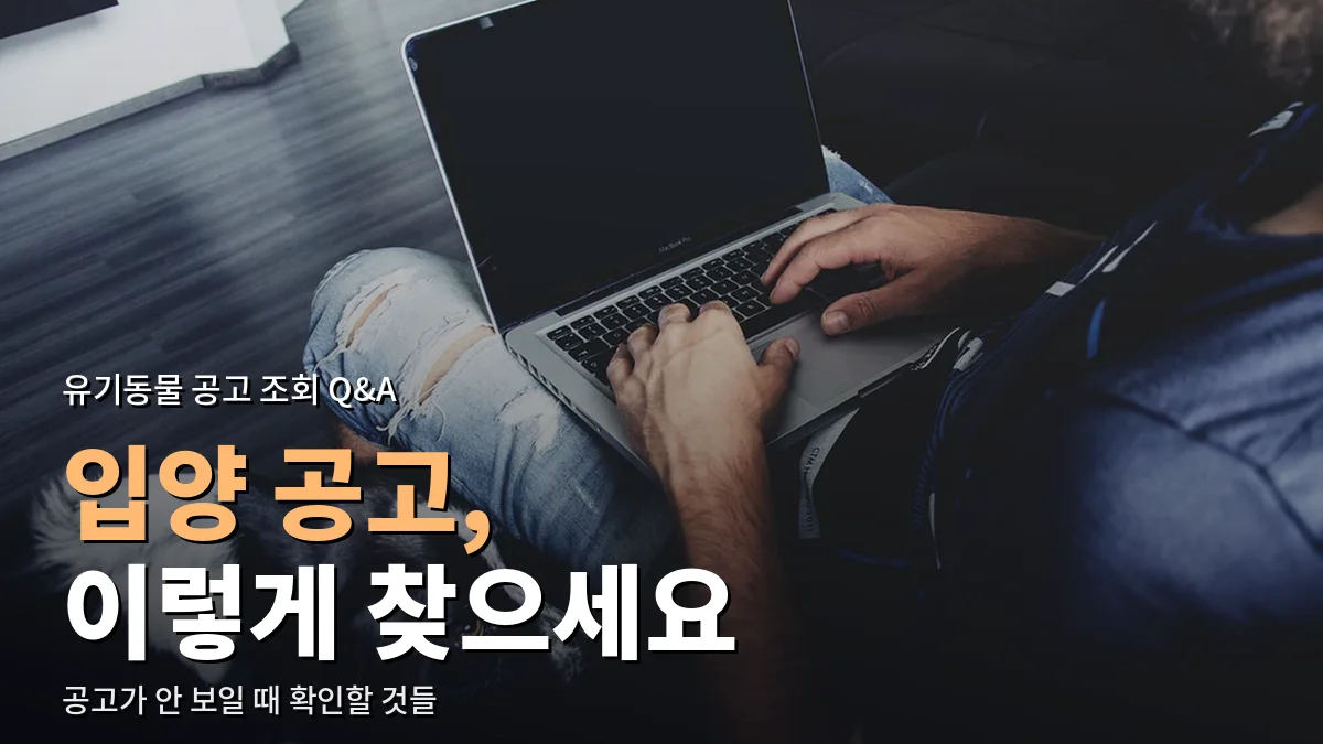 노트북을 쓰는 사람 곁에 엎드린 반려견